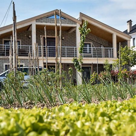 Villa Garden Shkodra Bagian luar foto