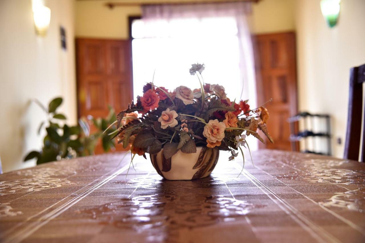 Villa Garden Shkodra Bagian luar foto