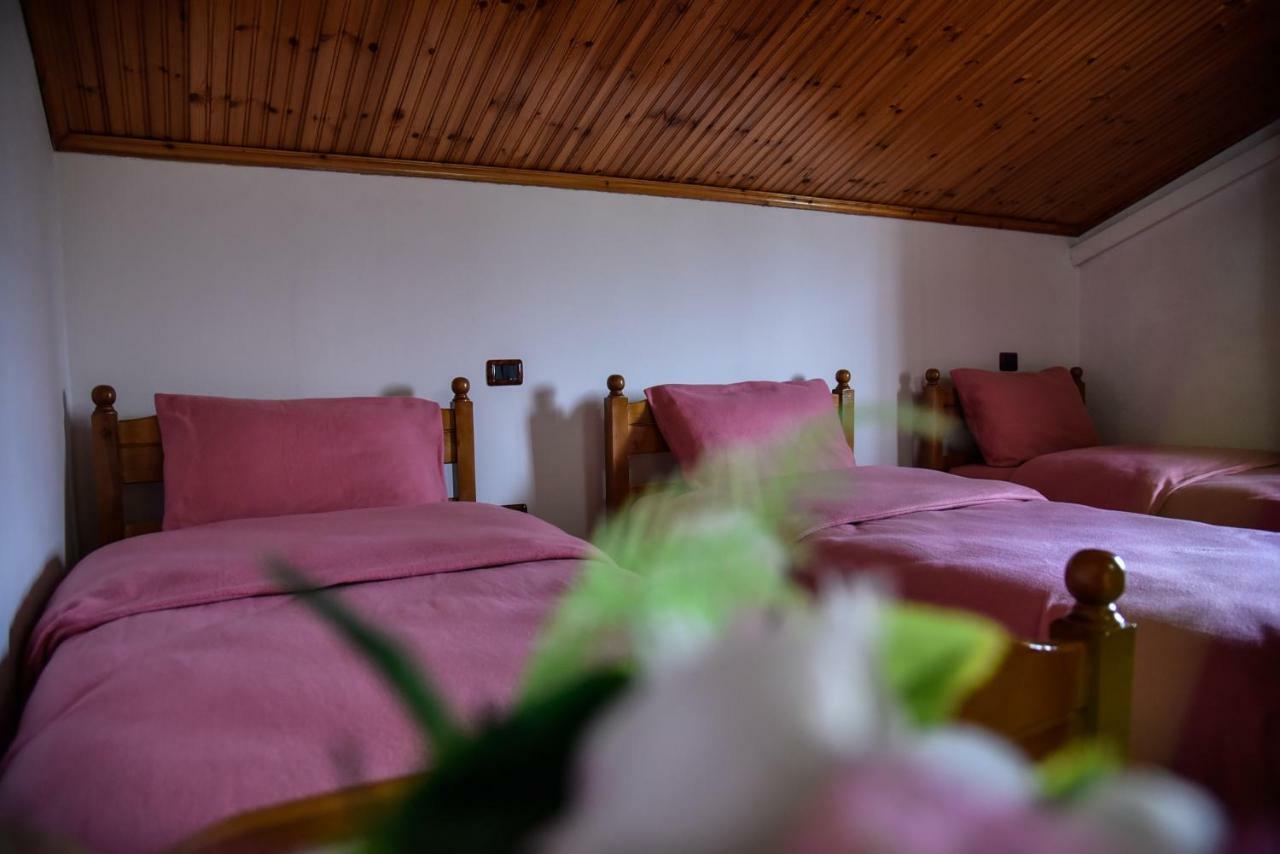 Villa Garden Shkodra Bagian luar foto