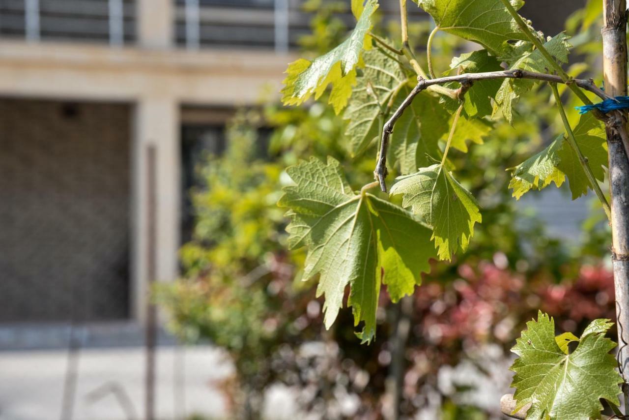 Villa Garden Shkodra Bagian luar foto