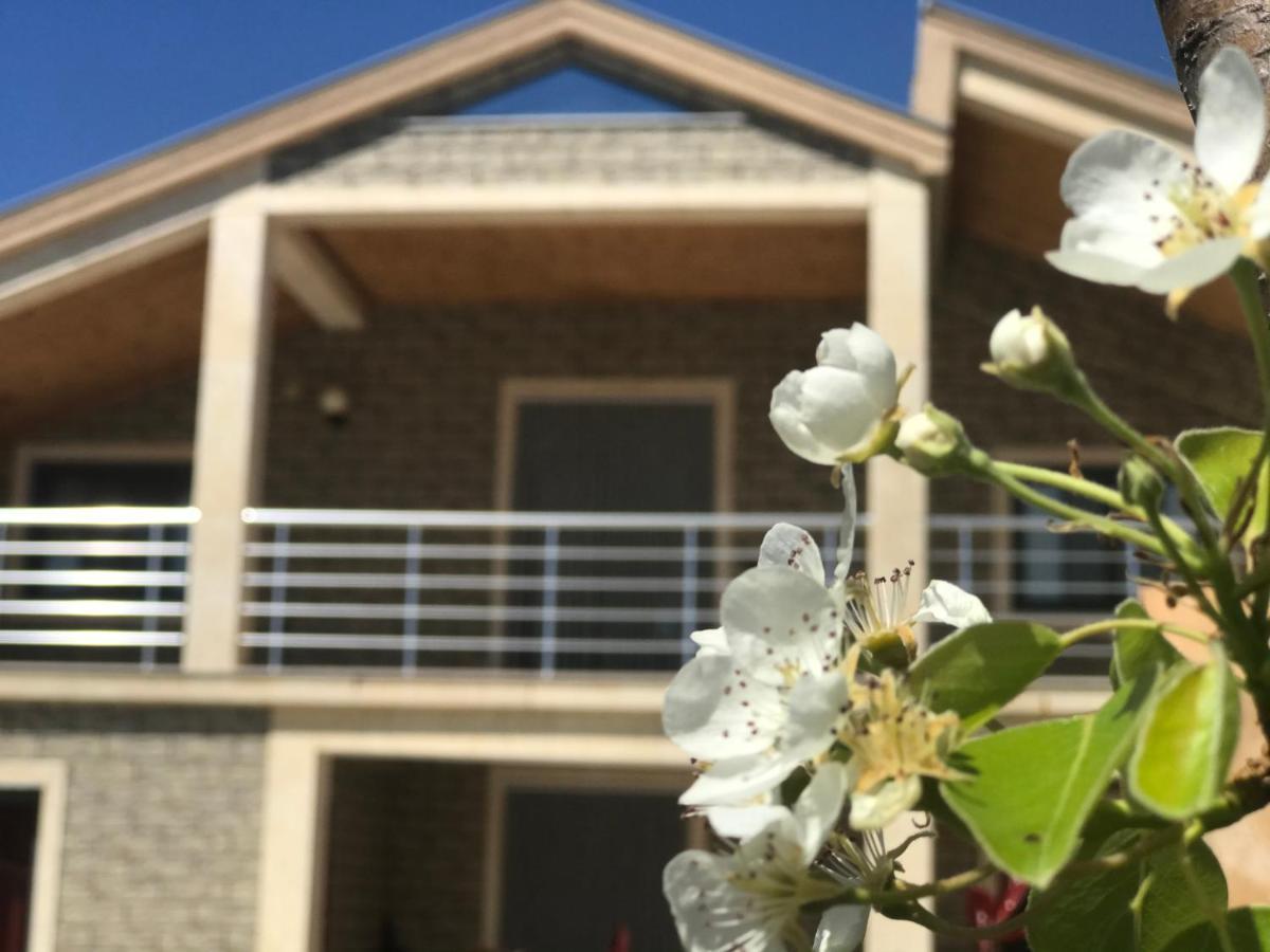 Villa Garden Shkodra Bagian luar foto