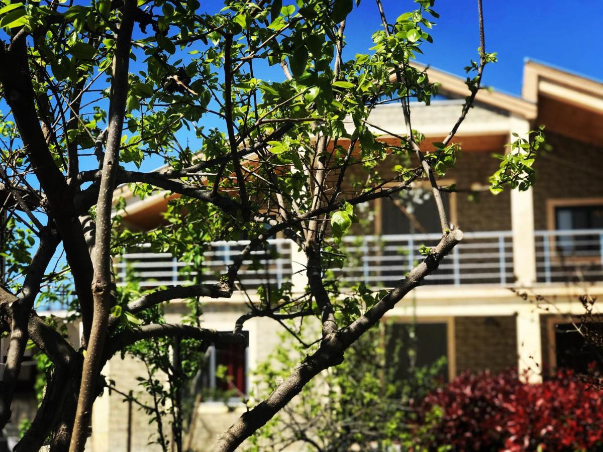 Villa Garden Shkodra Bagian luar foto